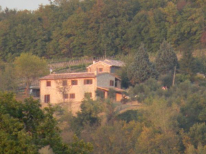 Panoramic farmhouse with swimming pool, Chioano
